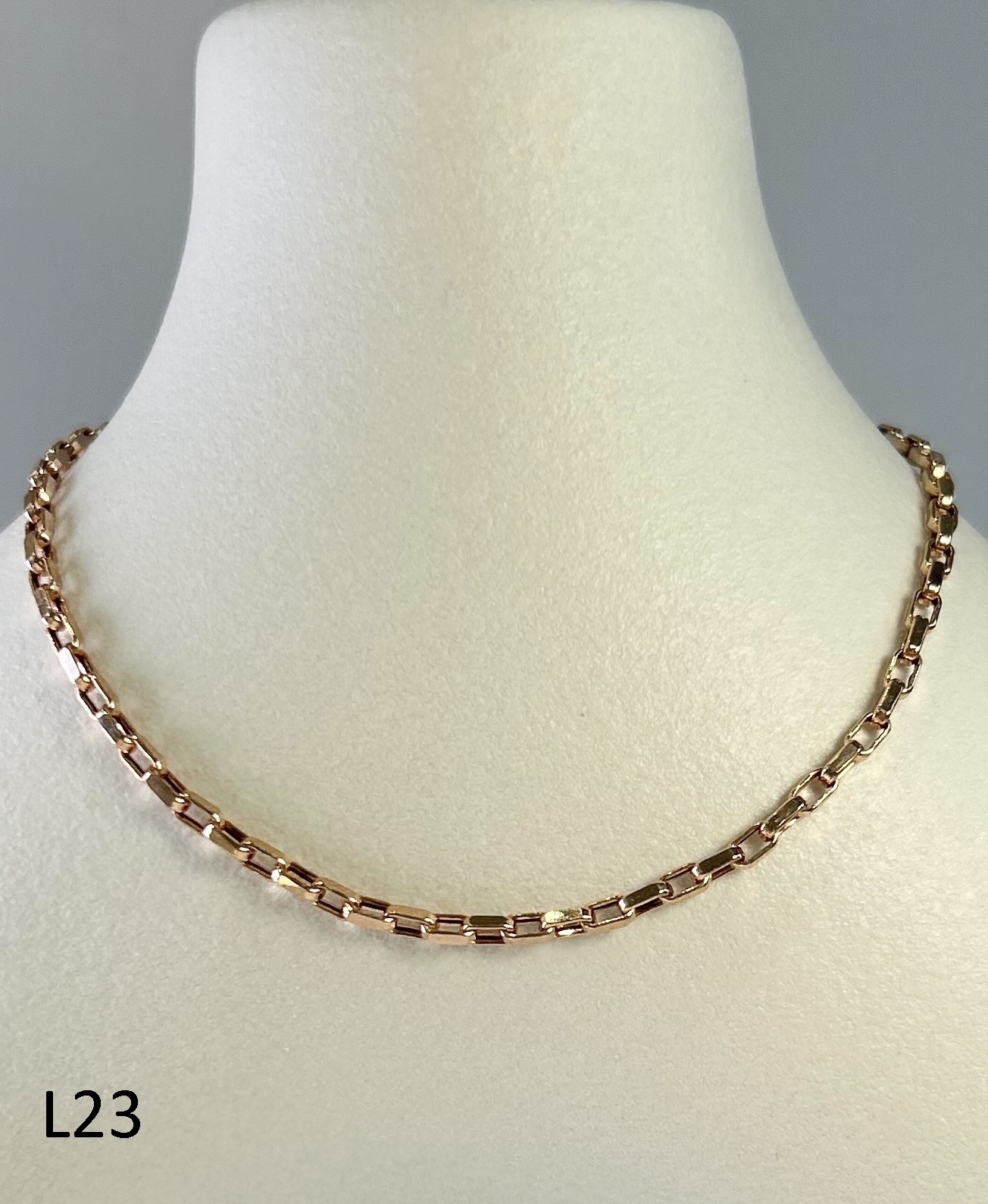 L23